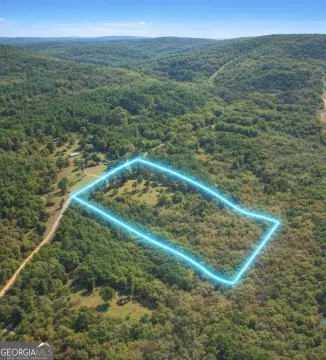 19.8 Acres in Meriwether County