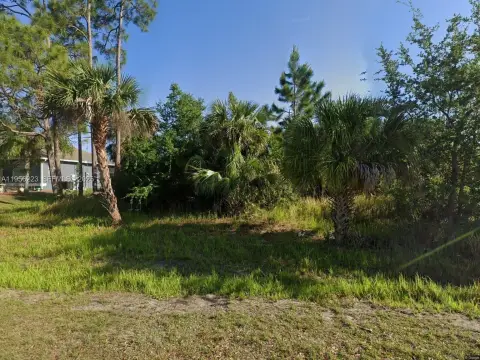 Residential Land in Palm Bay