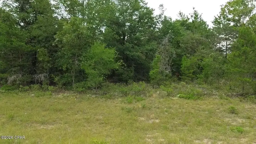 Picture 4