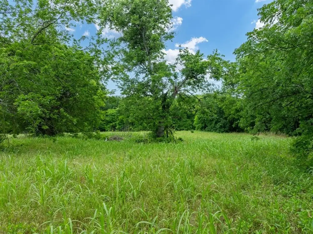 Picture 29