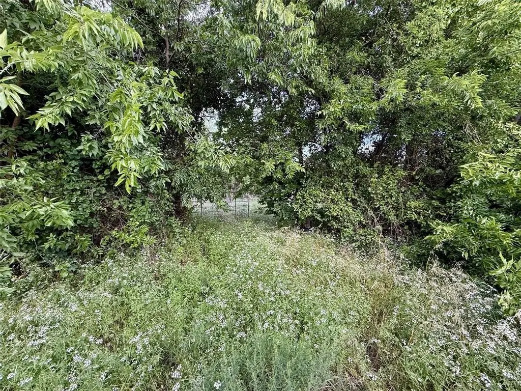 Picture 5