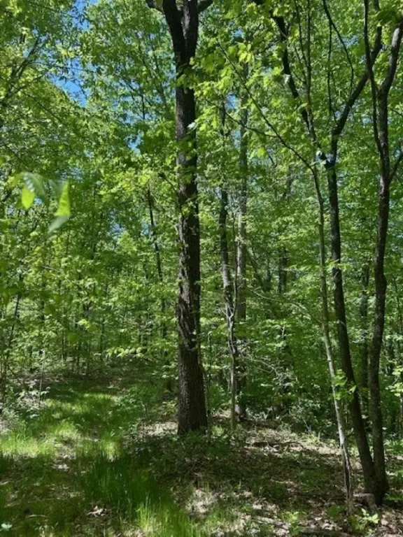 Picture 13