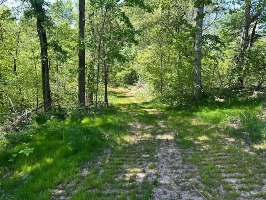 Picture 9