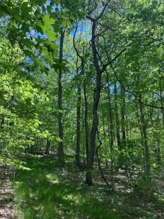 Picture 17