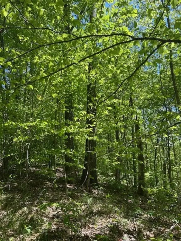 Picture 14