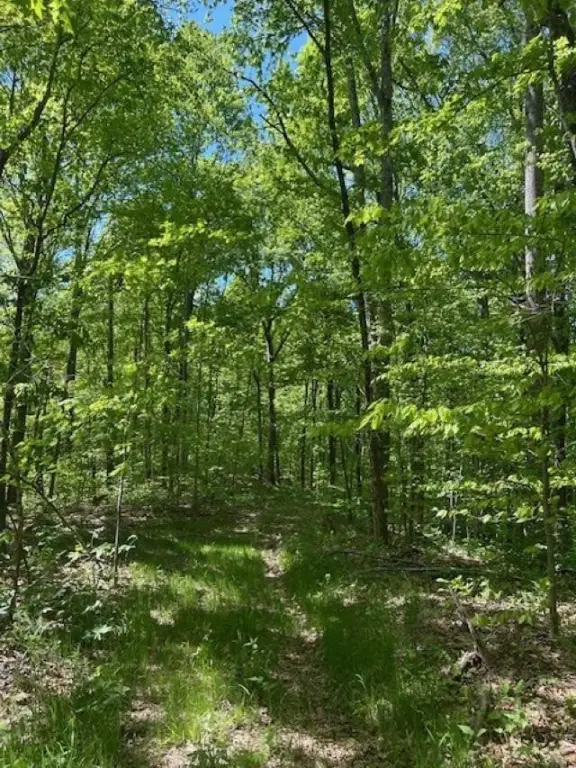 Picture 15