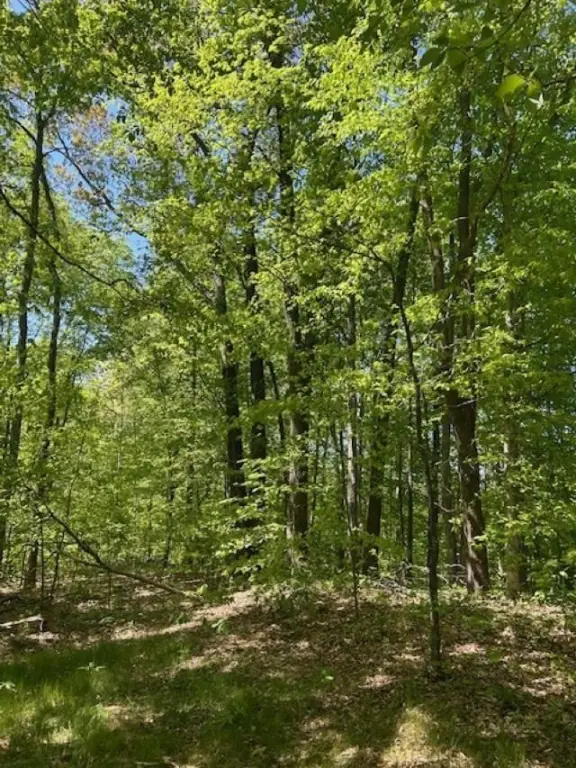 Picture 18