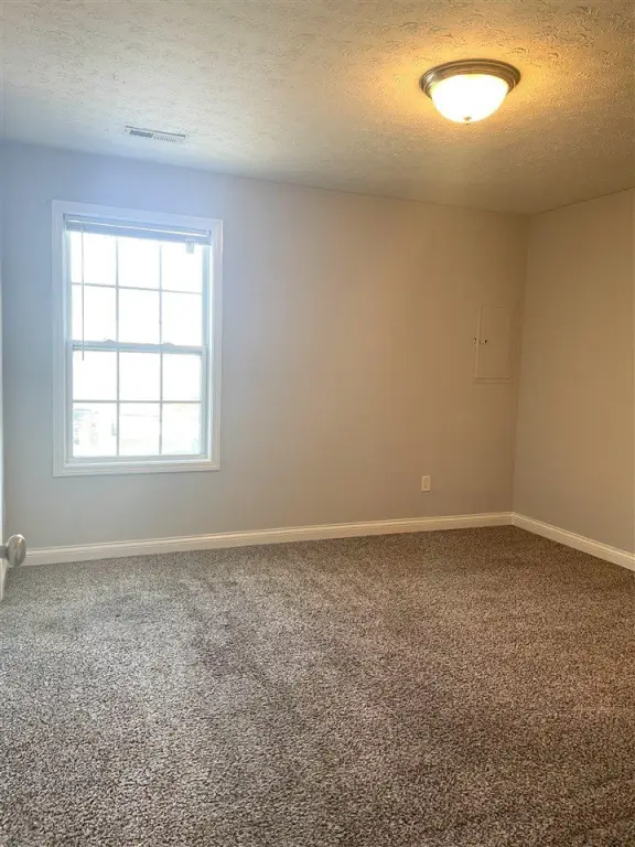 Picture 24