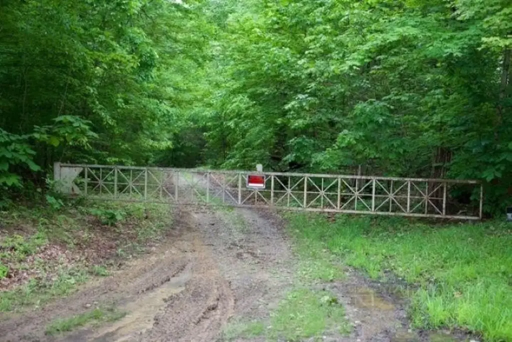 Picture 6