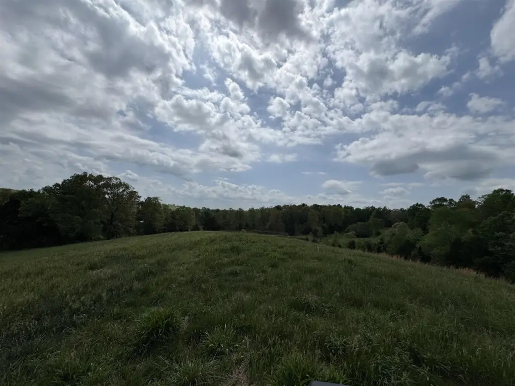 Picture 13