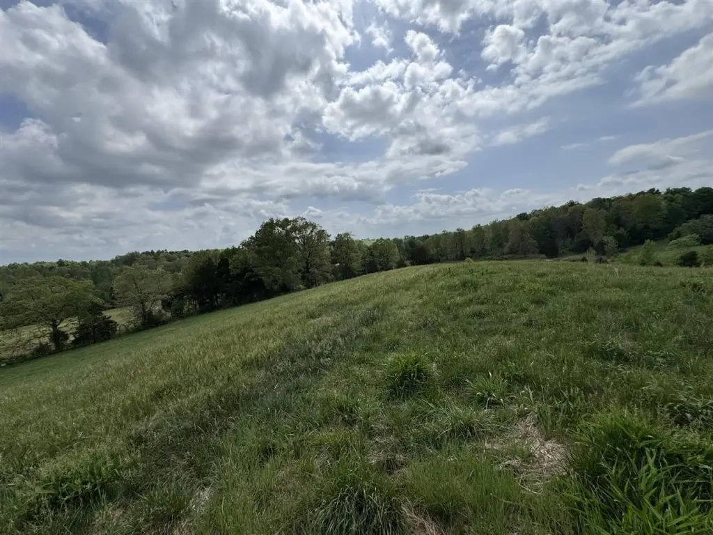 Picture 12
