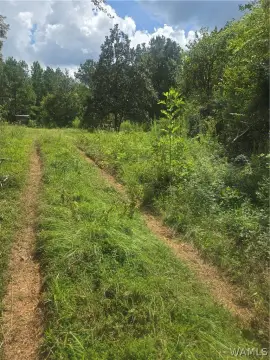 Hunting Land