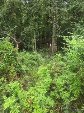 Hunting Land