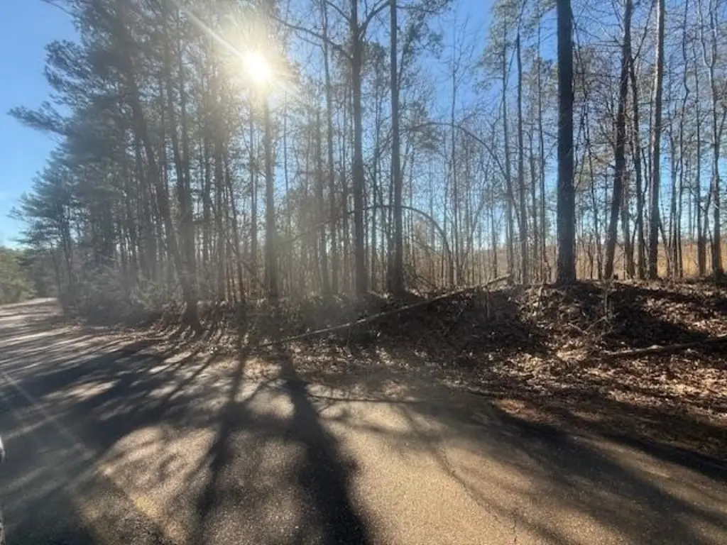 Picture 19