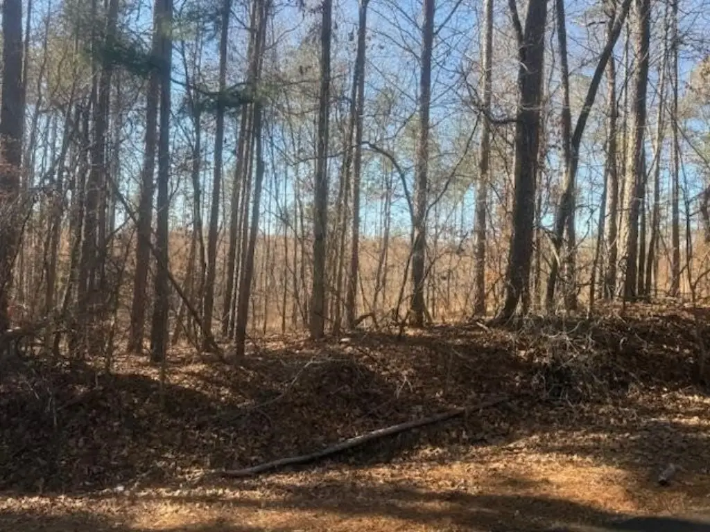Picture 16