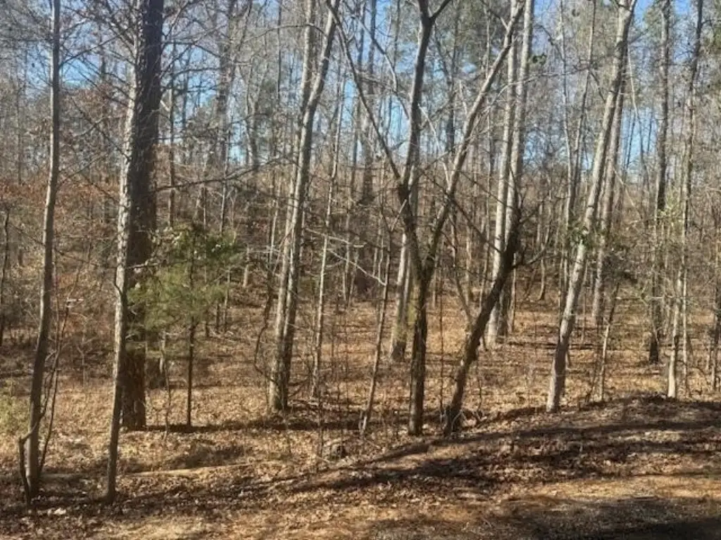 Picture 10