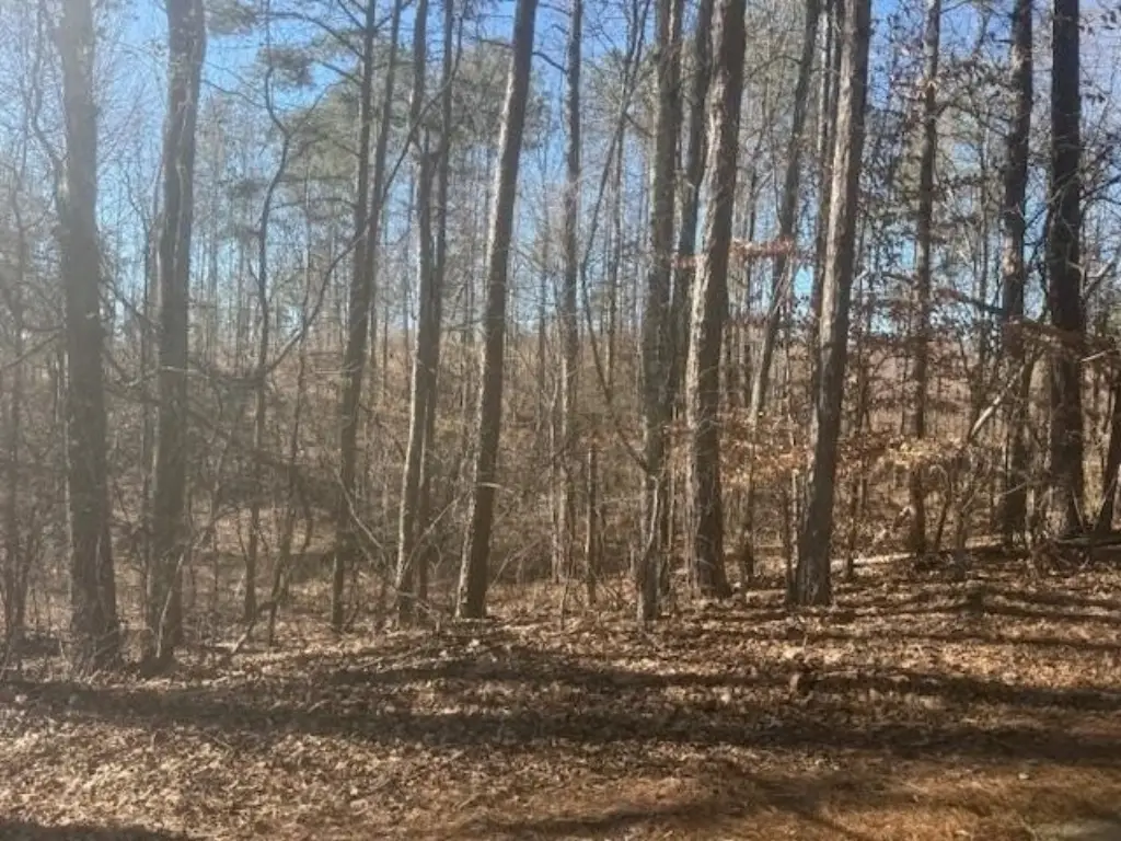 Picture 15