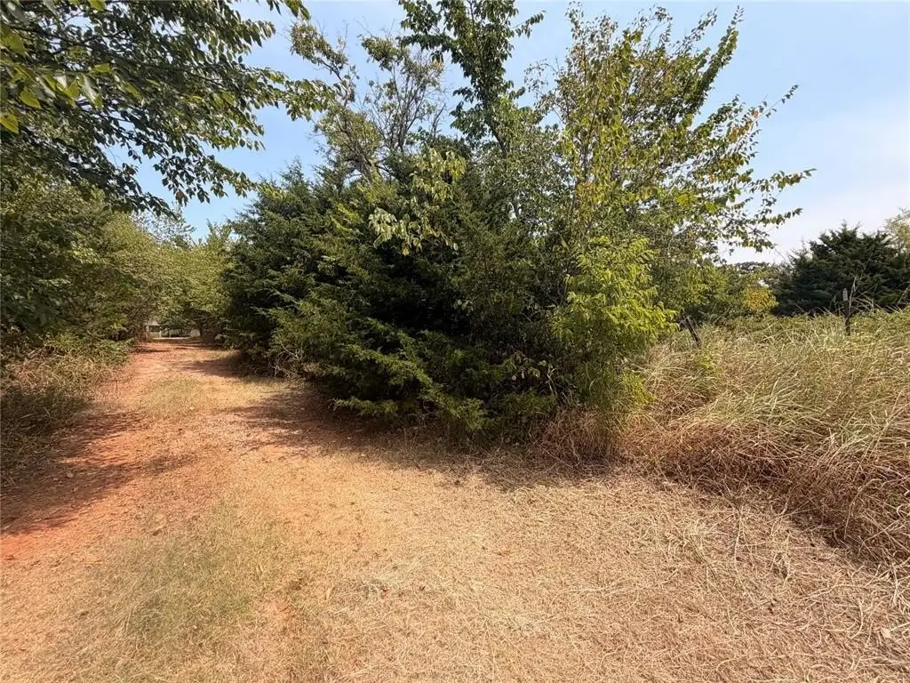 Picture 6