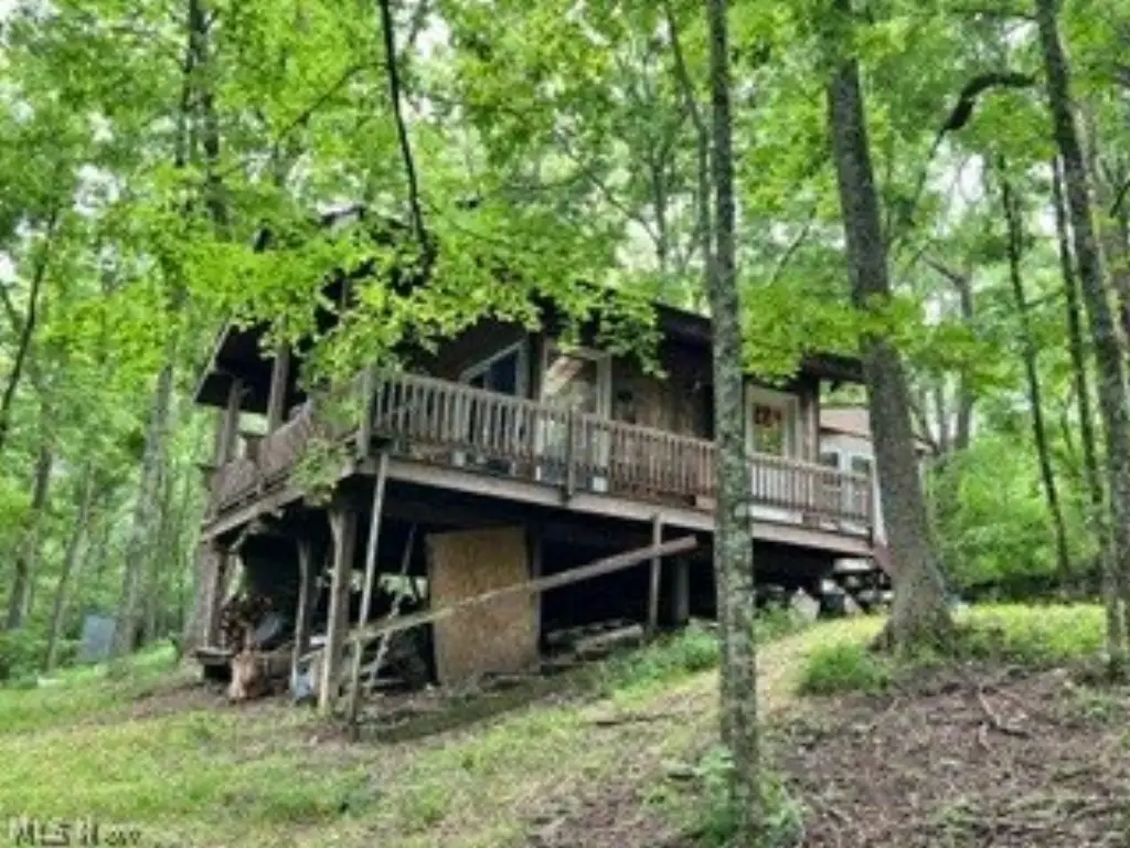 Picture 39
