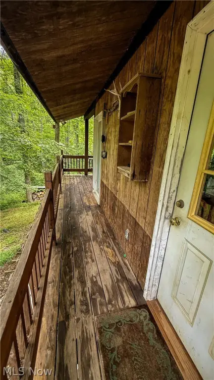 Picture 24