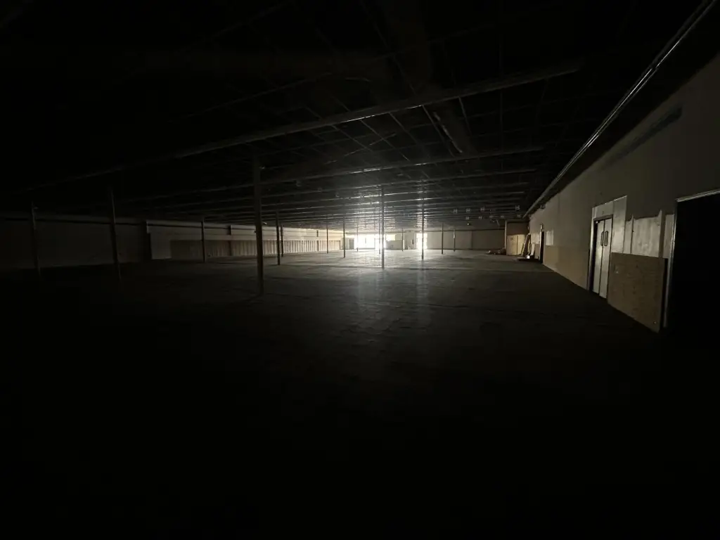 Picture 5
