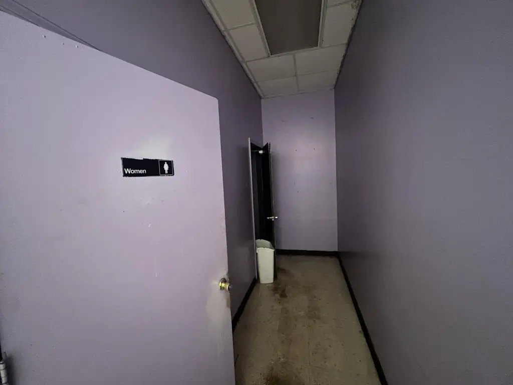 Picture 5