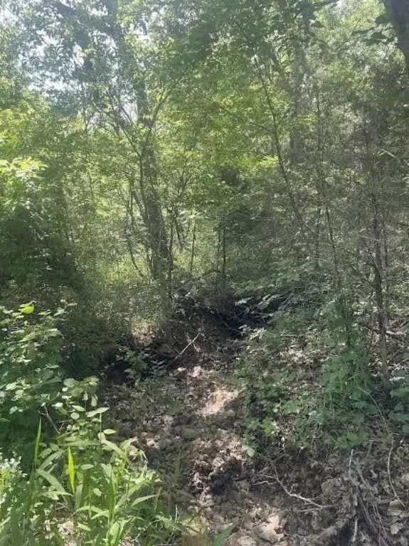 Picture 7