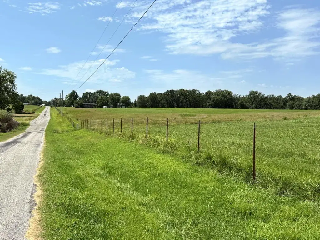 Picture 21