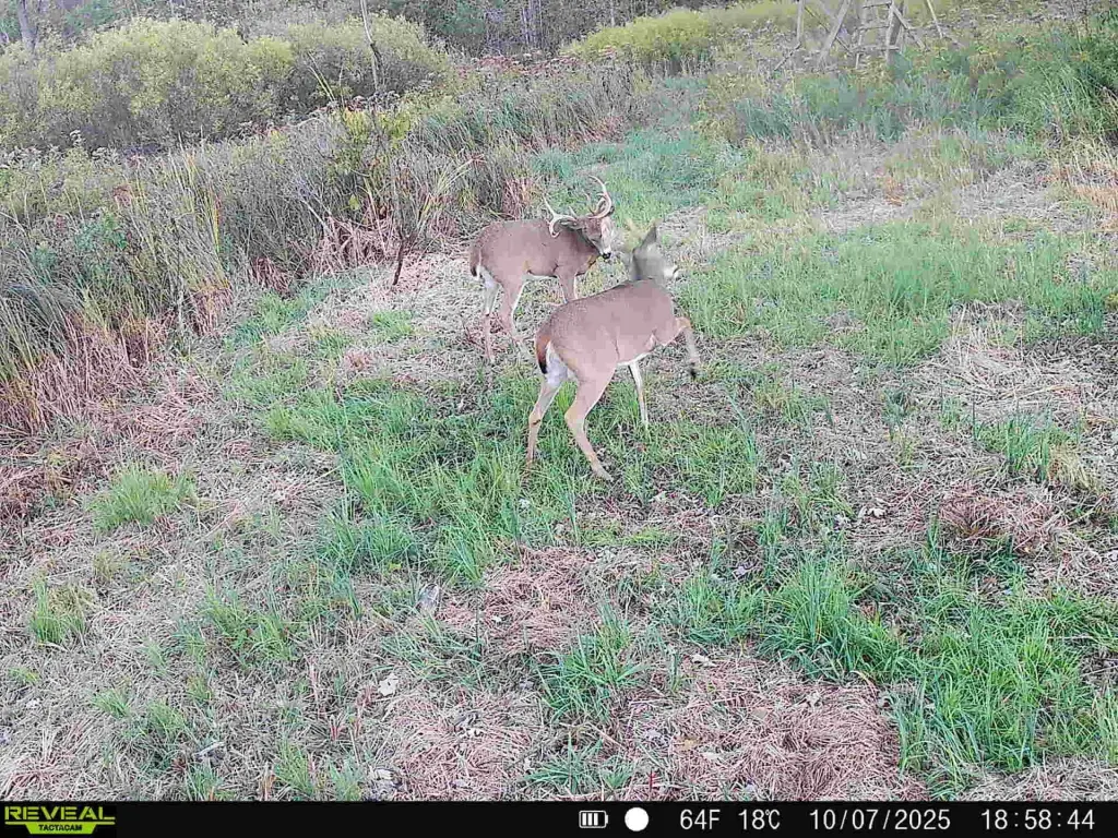 Picture 5