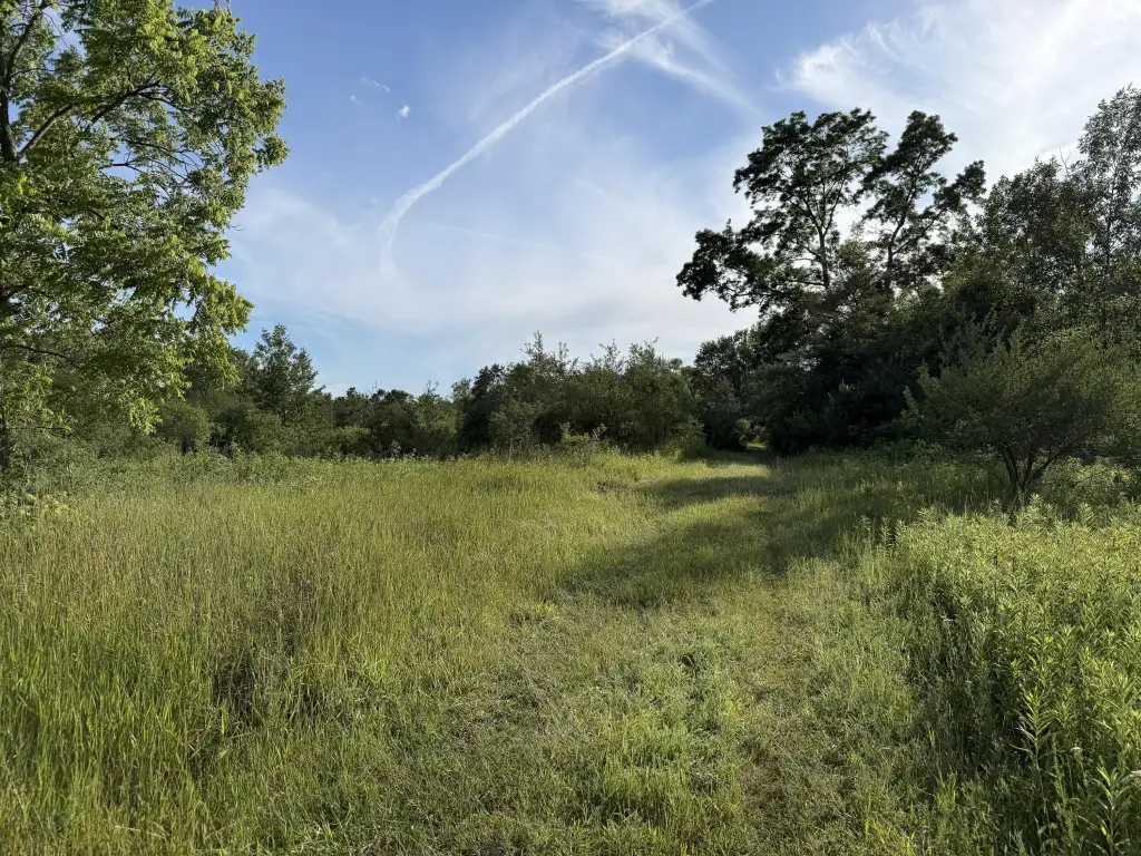 Picture 22