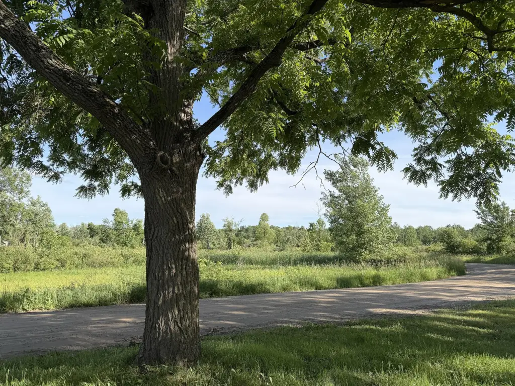 Picture 26