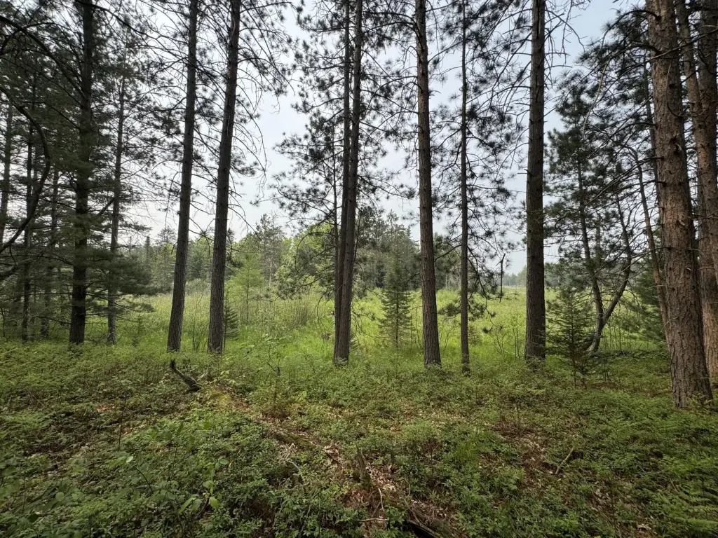 Picture 23