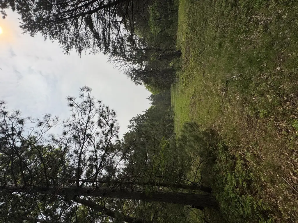Picture 13