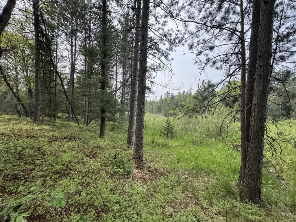 Picture 18