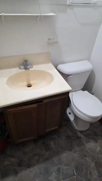 Picture 15