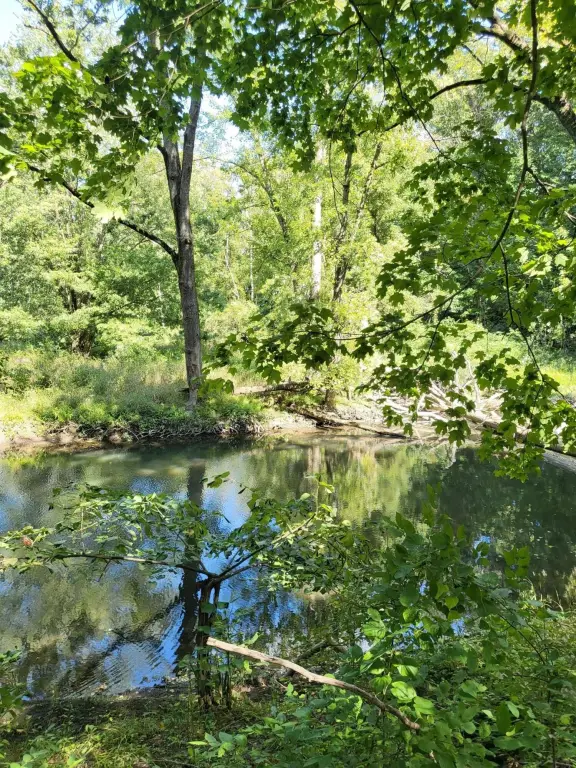 Picture 27