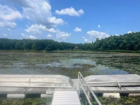 Sunshine Lake Wooded Lot