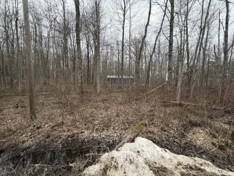 Buildable Lot Near South Scott Lake