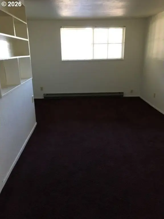 Picture 39