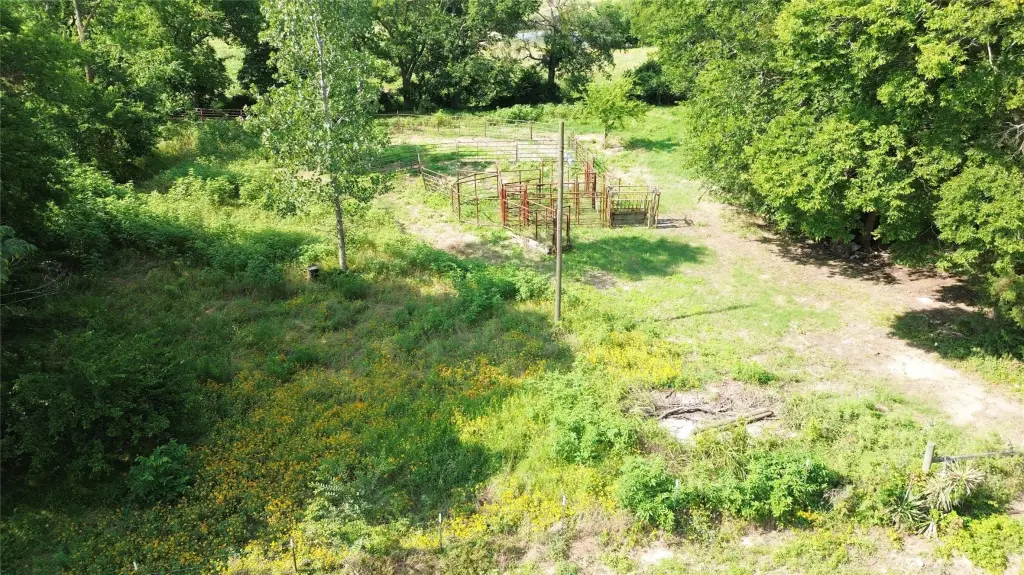 Picture 6