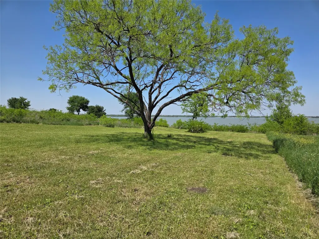 Picture 28