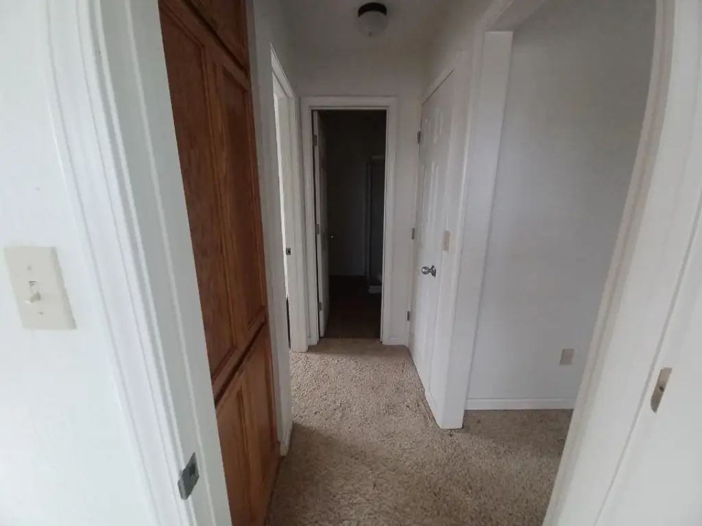 Picture 12