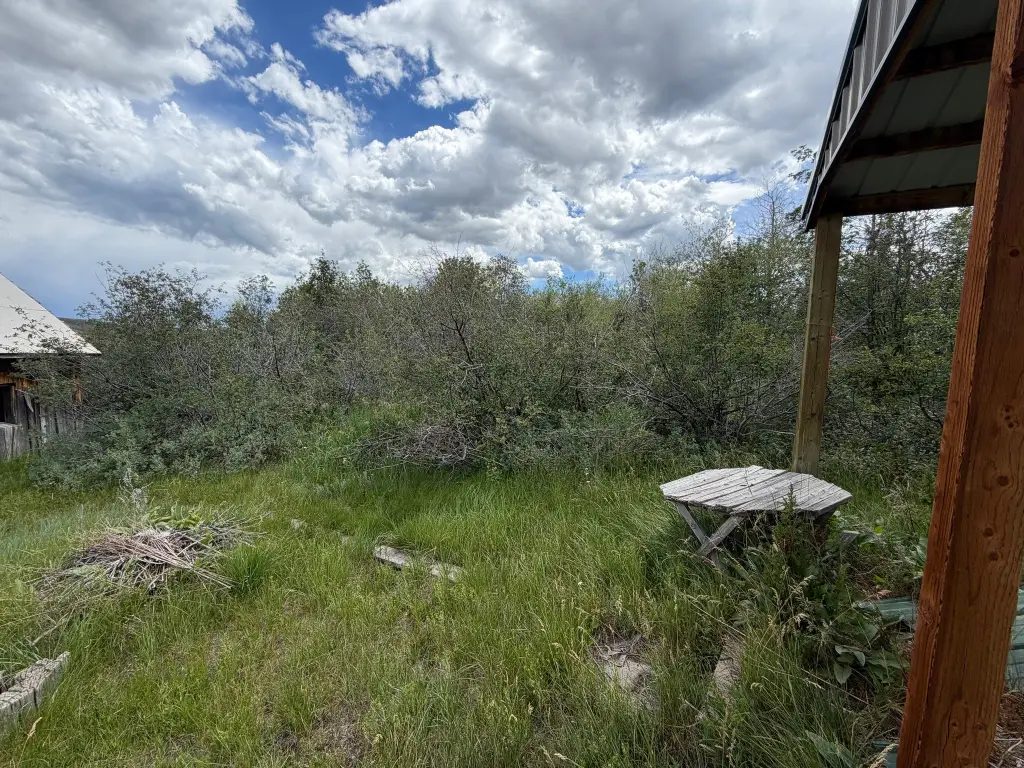 Picture 21