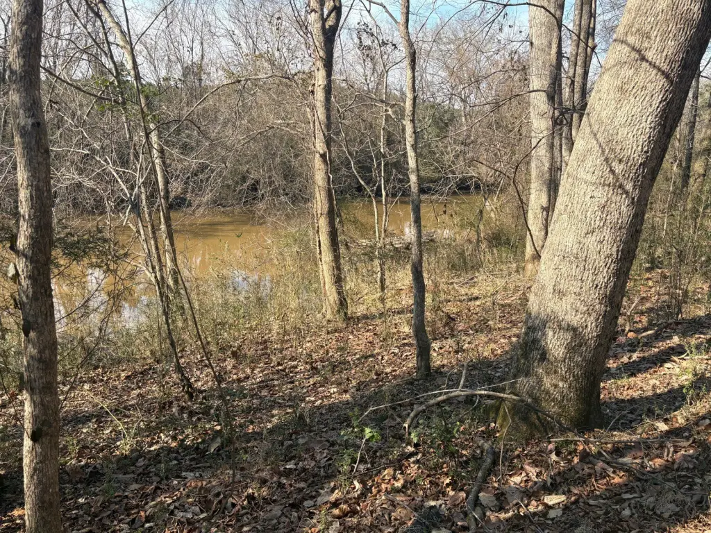 Picture 3