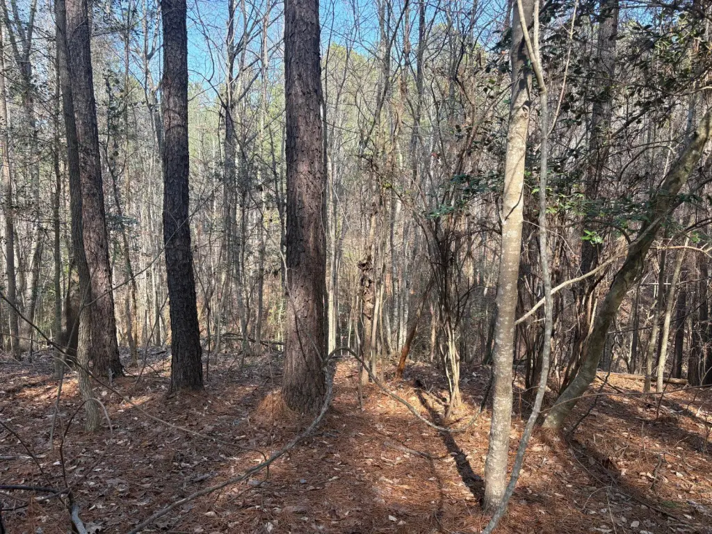Picture 25