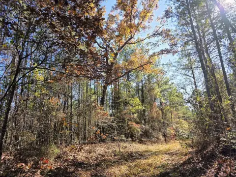 130 Acres of Vacant Land