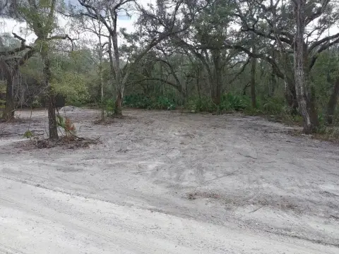 Residential Lot in Palm Forest