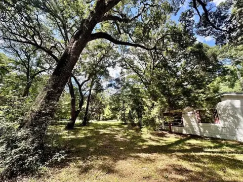 Dixie County Land Investment Opportunity