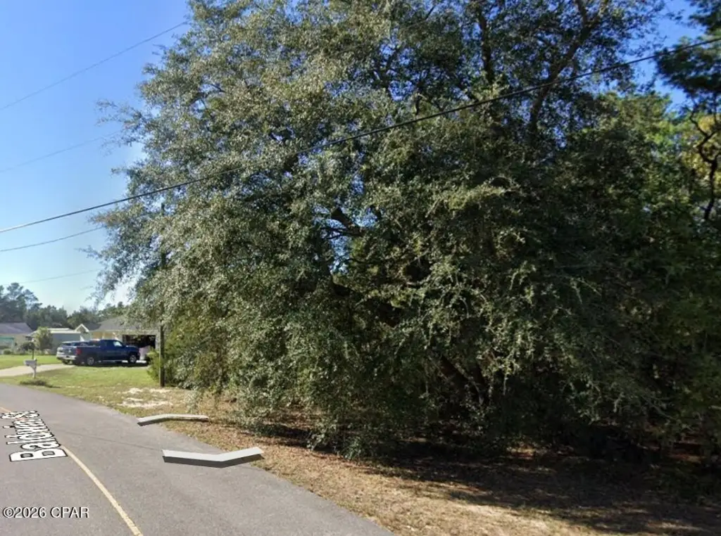 Picture 3