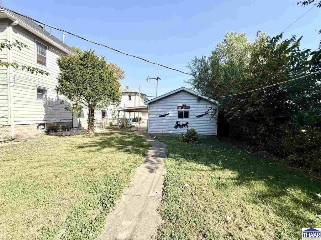 Picture 15